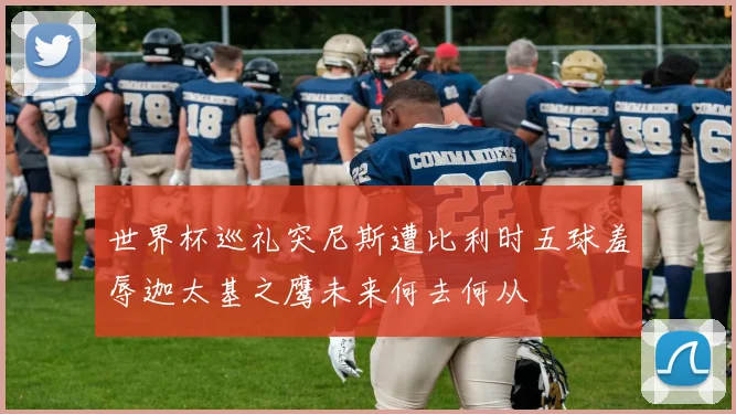 世界杯巡礼突尼斯遭比利时五球羞辱迦太基之鹰未来何去何从